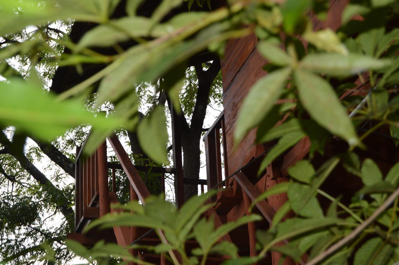 Dambulla Tree House Βίλα Εξωτερικό φωτογραφία