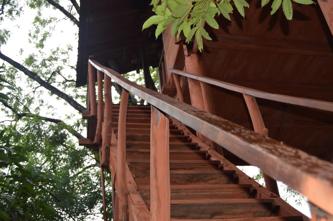Dambulla Tree House Βίλα Εξωτερικό φωτογραφία