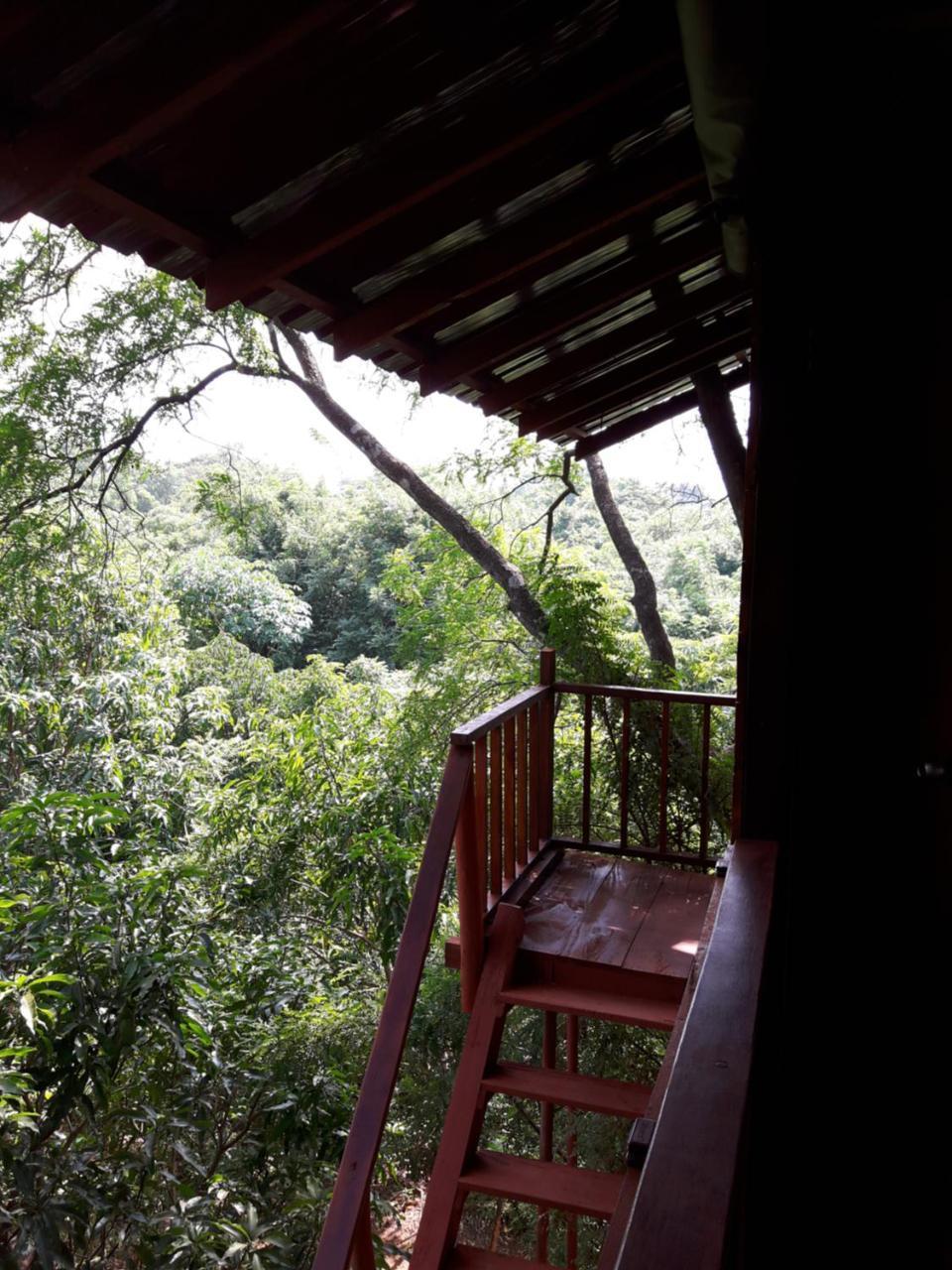 Dambulla Tree House Βίλα Εξωτερικό φωτογραφία