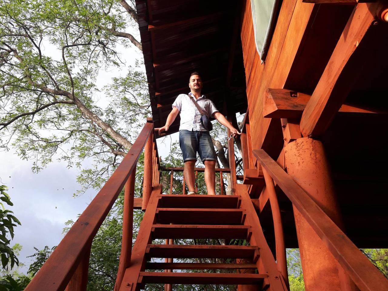 Dambulla Tree House Βίλα Εξωτερικό φωτογραφία