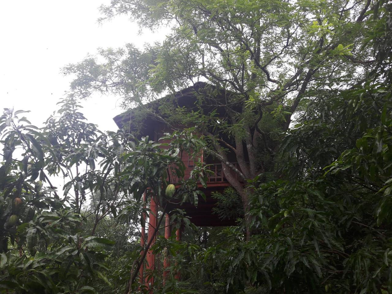 Dambulla Tree House Βίλα Εξωτερικό φωτογραφία