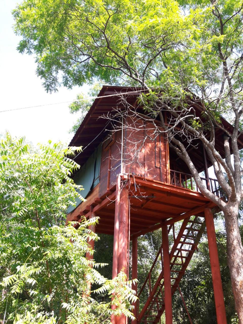 Dambulla Tree House Βίλα Εξωτερικό φωτογραφία